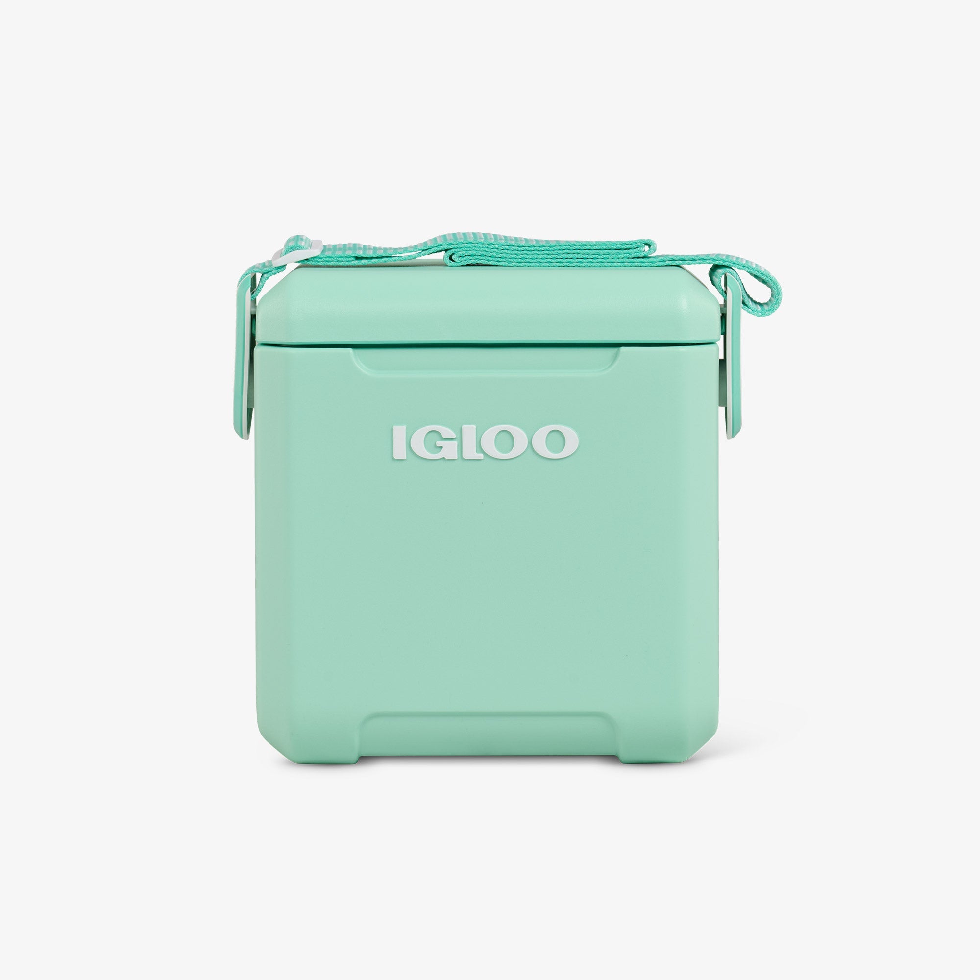 Tag Along Too Cooler F5 Seafoam